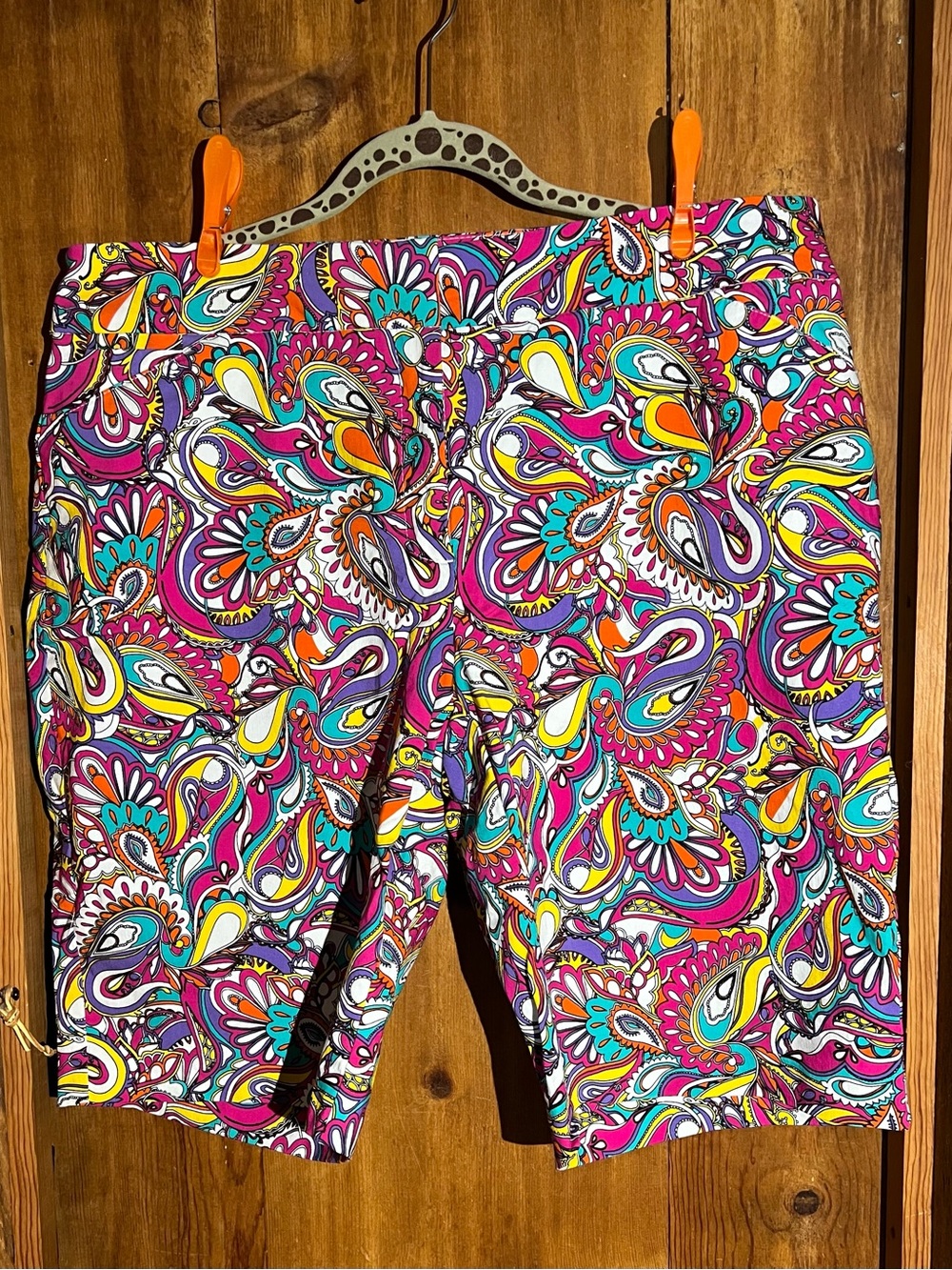 Attyre Pink Paisley Multicolor Shorts
